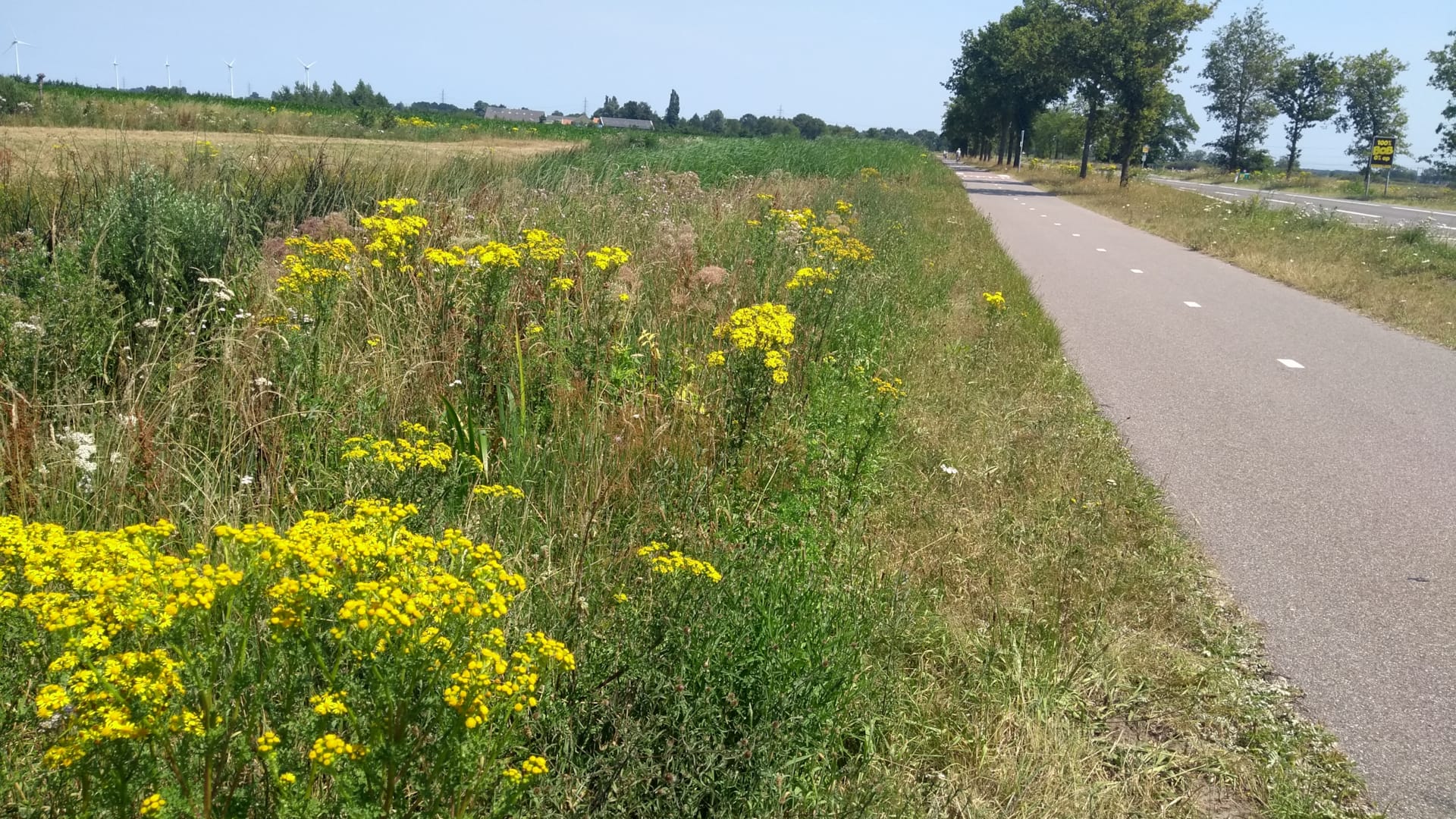 Natuur bij wegen en kanalen